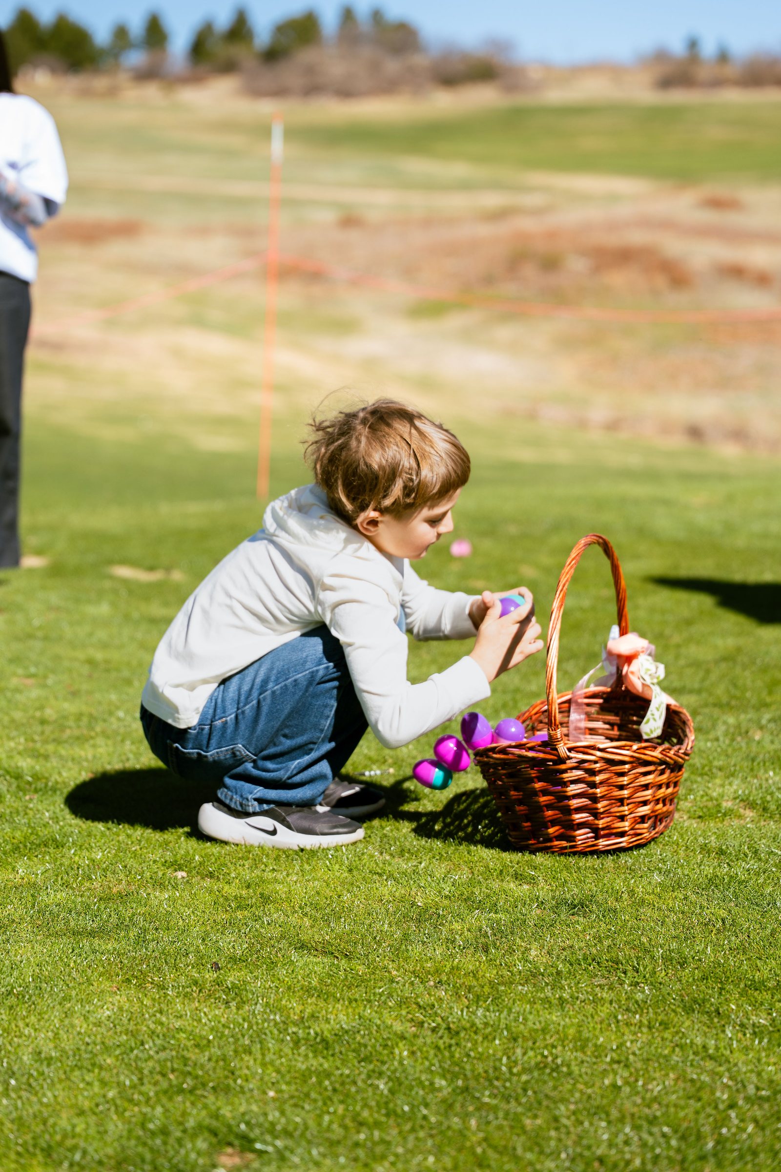 Boy collecting eggs into a basket on the grass